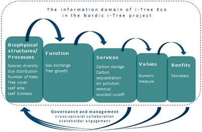 Expectations of i-Tree Eco as a tool for urban tree management in Nordic cities